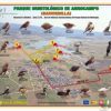 BIRDWATCHING. ZONA ZEPA (ESPECIAL PROTECCIÓN DE AVES)